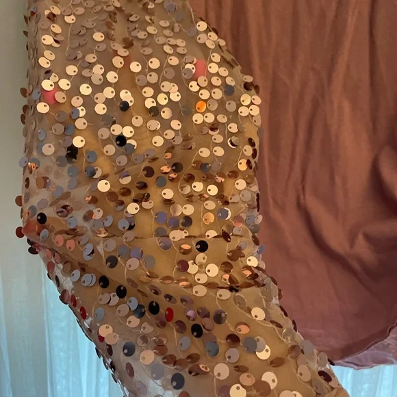 Free People Celine Tee Shirt. Top. Rose Gold. Long Sleeve. XL. NWT. Sequins. - Picture 6 of 9